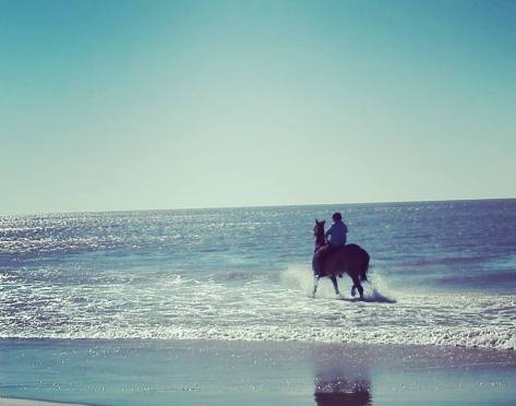 cavallo-spiaggia